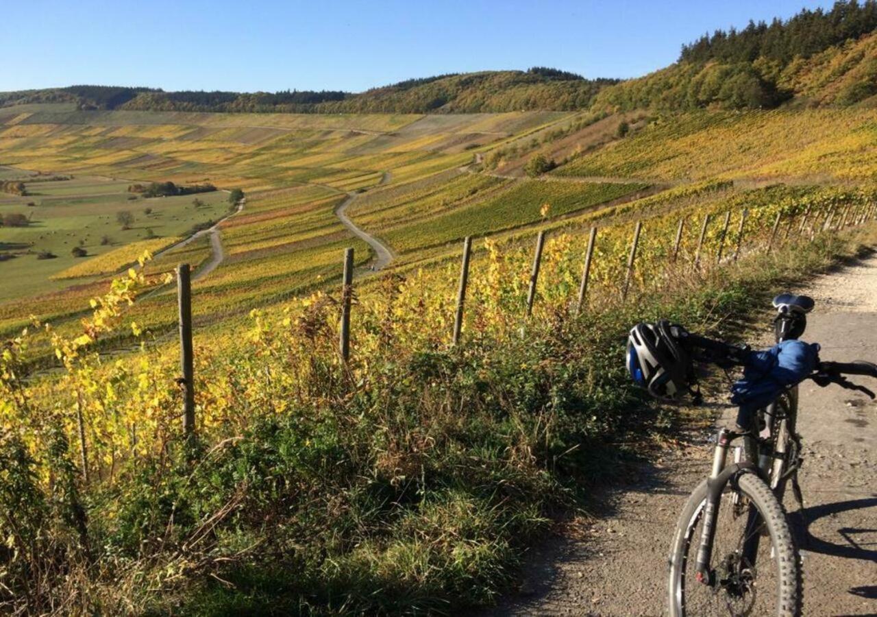 Alter Posthof Lieser Kültér fotó